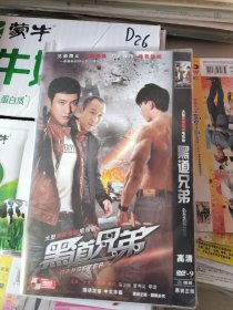 大型黑帮枪战电视连续剧:《黑道兄弟 DVD》二碟装完整版（文章王晓巍周莉马少骅管寿义李进主演）