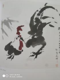 中国当代实力派画家 孙智敏画集