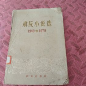 肃反小说选