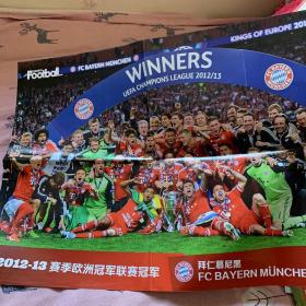 拜仁慕尼黑夺取欧冠冠军海报