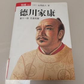 德川家康（第十一部）：王道无敌