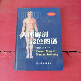 人体解剖彩色图谱