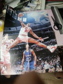 篮球海报鳄鱼大嘴  NBA复古海报珍藏系73罗德曼  霍华德