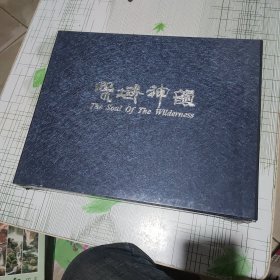 野域神韻 李玉光風光攝影集 （精品盒裝）未開封