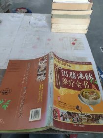 粥膳汤饮养疗全书