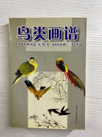 鸟类画谱（正版如图、内页干净）