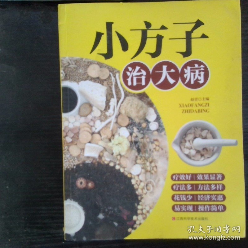 小方子治大病   中医书籍养生偏方大全民间老偏方美容养颜常见病防治 保健食疗偏方秘方大全小偏方老偏方中医健康养生保健疗法