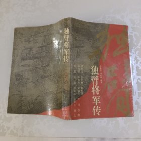 独臂将军传
