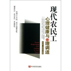 现代农民工心理健康与心理调适 社会科学总论、学术 王于庆,高文斐