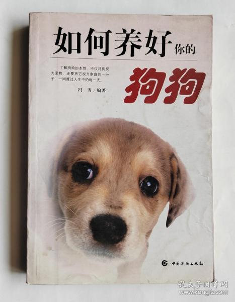 如何养好你的狗狗