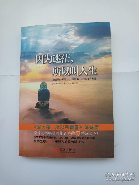 因为迷茫，所以叫人生：在迷茫的泥沼中，你需要一跃而起的力量