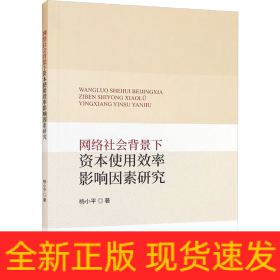 网络社会背景下资本使用效率影响因素研究