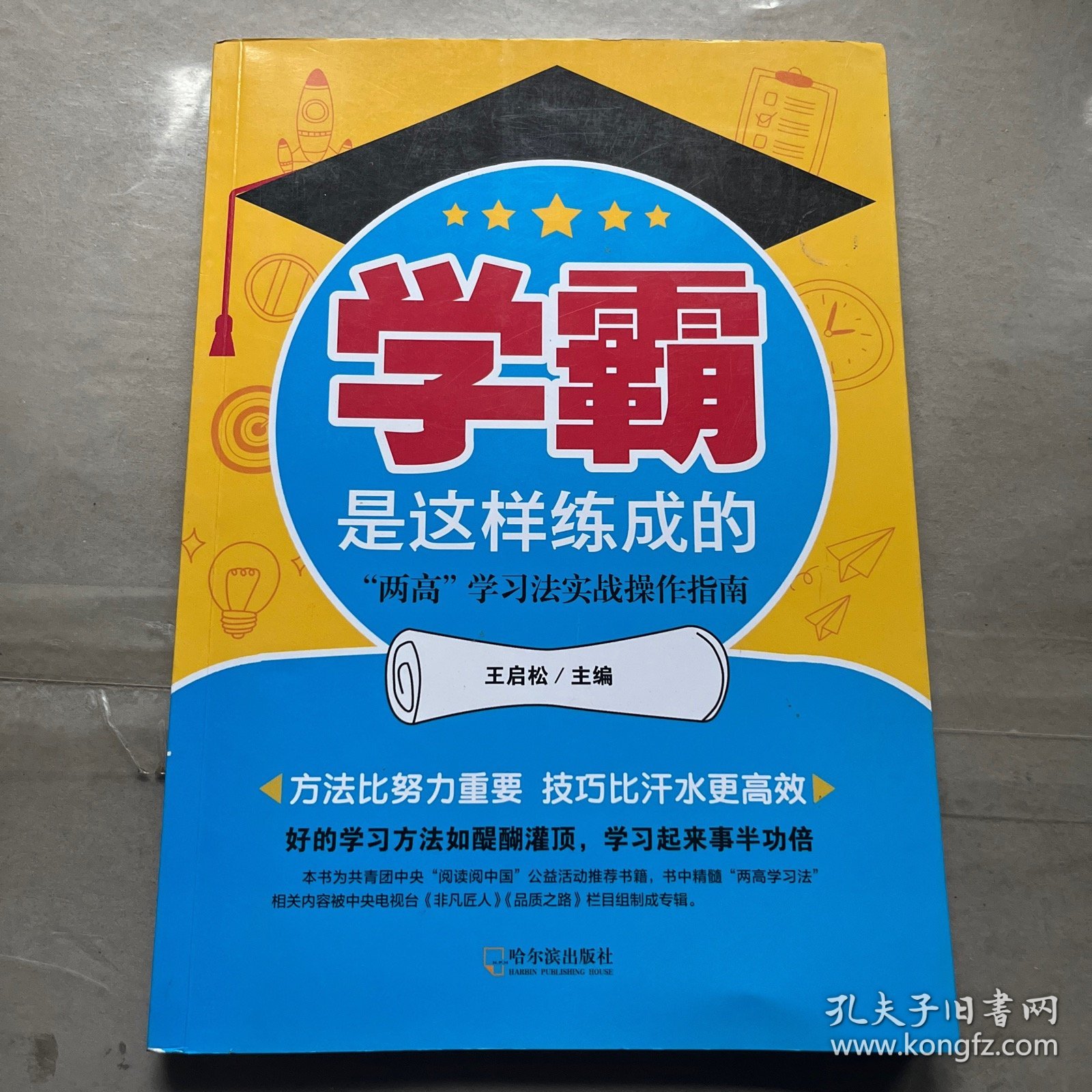 学霸是这样练成的：“两高”学习法实战操作指南+不贪吃天鹅肉的蛤蟆不是好蛤蟆