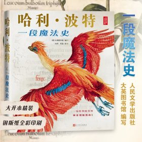 哈利·波特：一段魔法史