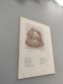 诗刊1981.12