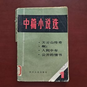 中篇小说选（1）