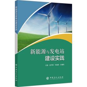 新能源与发电站建设实践 能源科学 作者 新华正版