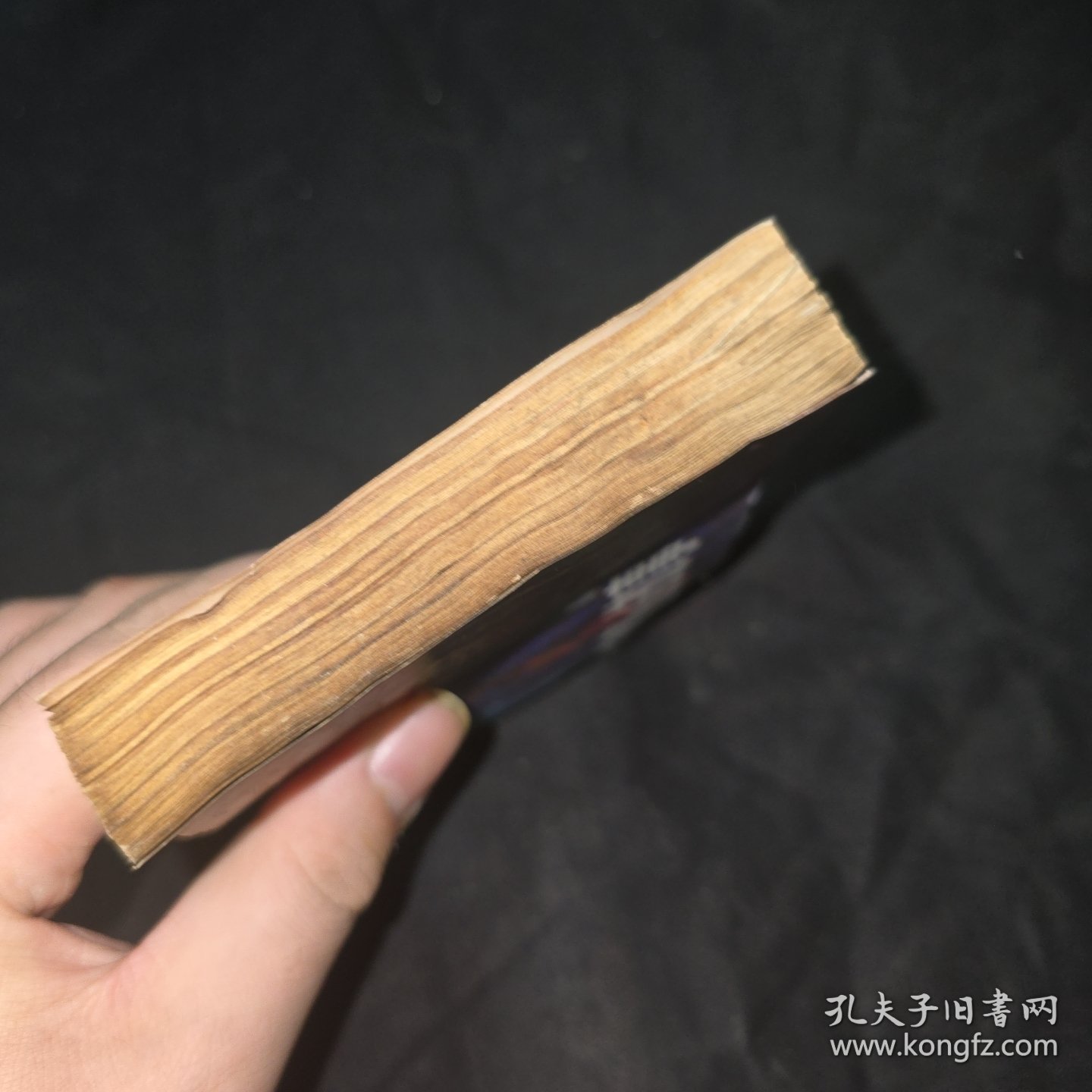 奥德赛的故事 连环画