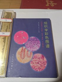 组织学彩色图谱