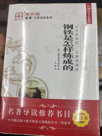 钢铁是怎样炼成的（全译本）