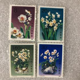 T147特种邮票 水仙花（一套4枚）