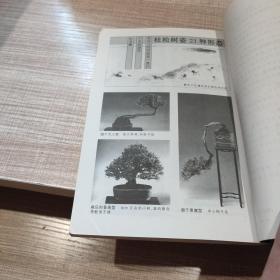 图解微型盆景栽培.4.杜松·枫树