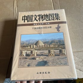 中国文物地图集：宁夏回族自治区分册