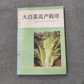 大白菜高产栽培