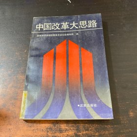 中国改革大思路