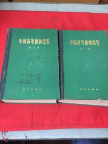 中国高等植物图鉴 第一、二册