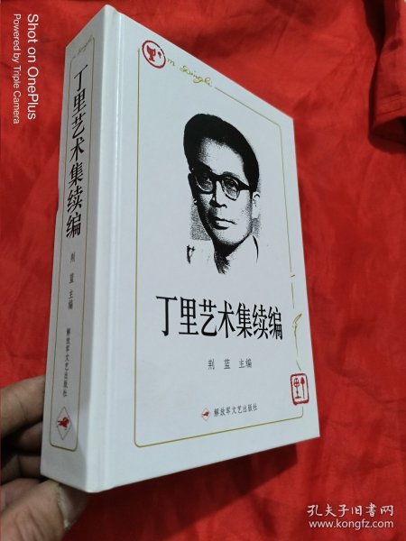 丁里艺术集 : 续编