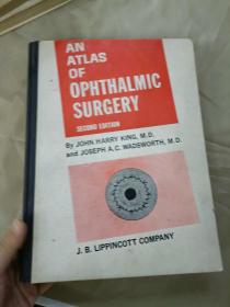 眼科手术图谱第2版(英5一4/1148)