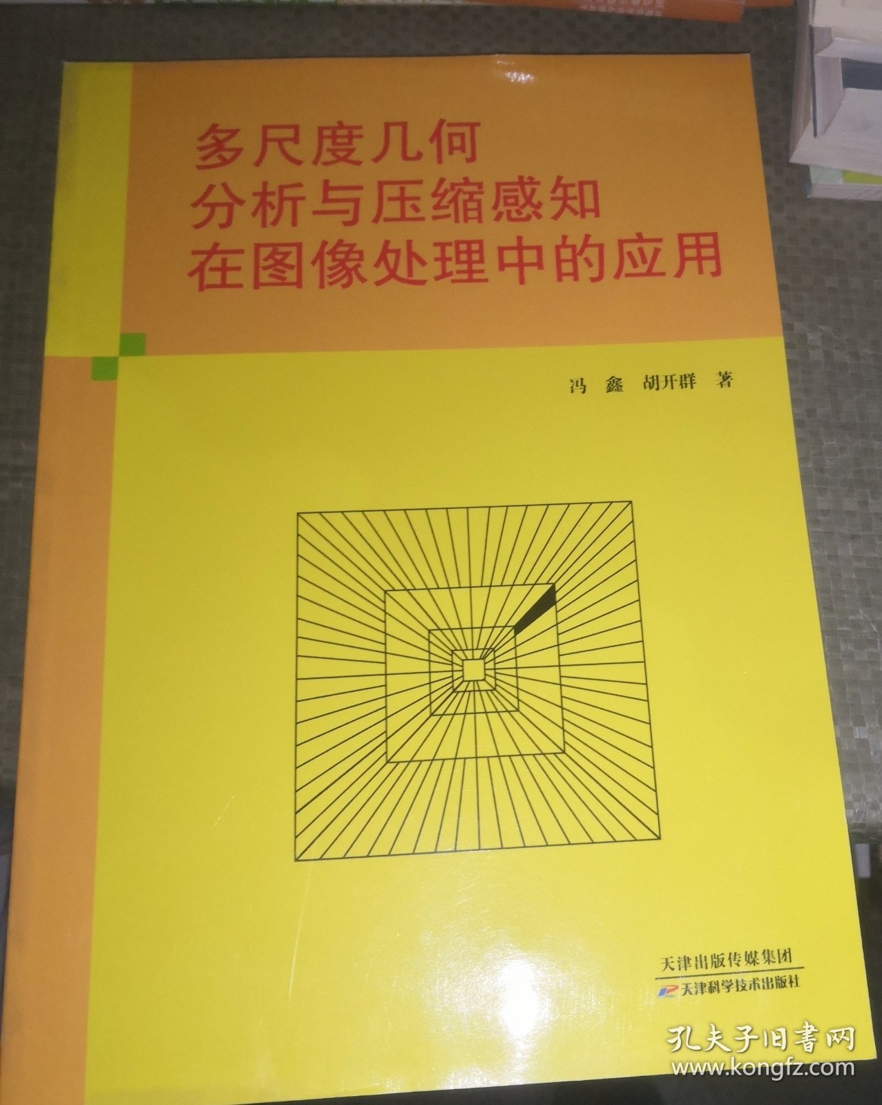 多尺度几何分析与压缩感知在图像处理中的应用（正版95品几乎全新）