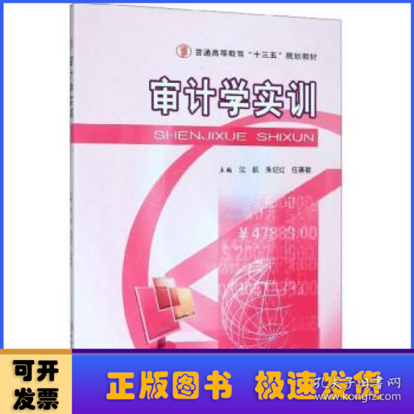 审计学实训/普通高等教育“十三五”规划教材