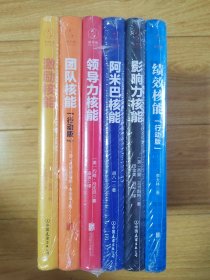 正版塑封 企业管理核能系列套装全6册 激励核能 绩效核能 团队核能 领导力 阿米巴核能 影响力核能 企业经营团队管理绩效管理领导学书籍