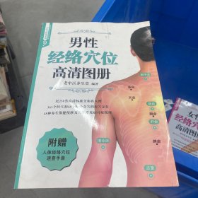 男性经络穴位高清图册