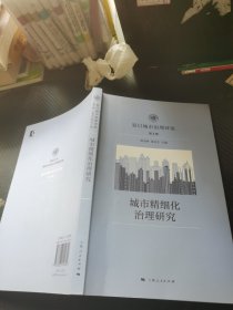 城市精细化治理研究
