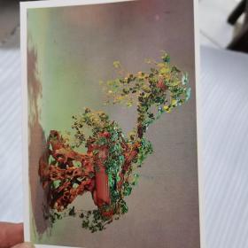 六七十年代  花卉盆景明信片