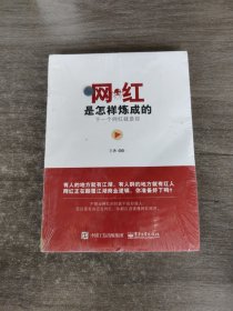 网红是怎样炼成的