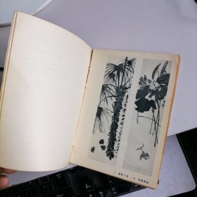 美术丛书 【现代花鸟画选】 软精装 1964年初版
