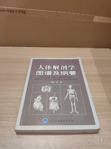 人体解剖学图谱及纲要