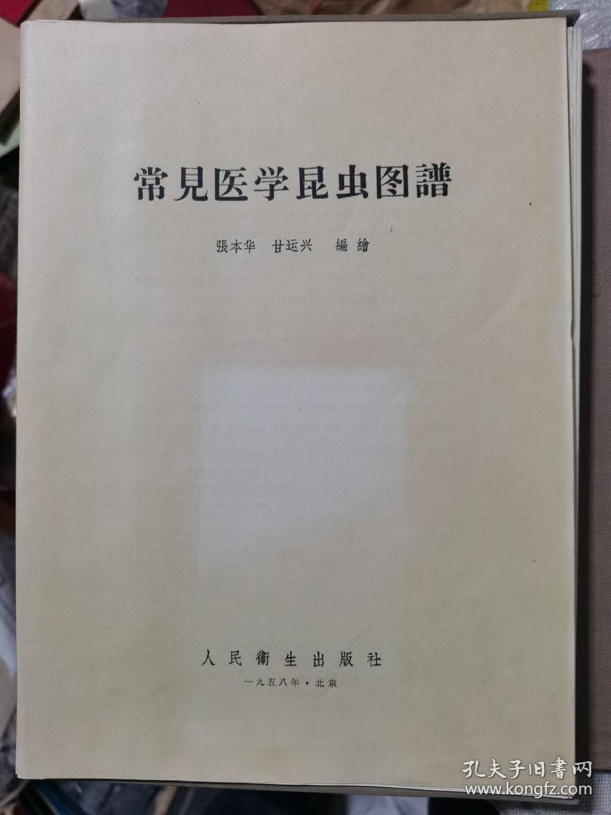 常见医学昆虫图谱