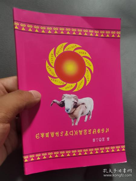 志尔苦火特依 （羊）彝文书