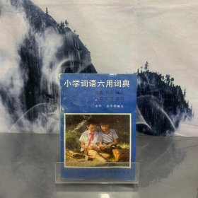 小学词语六用词典