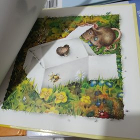 房子 小船 数字 反正 飞机 大风 字母 颜色（8本合售）