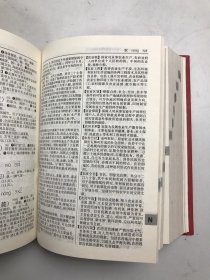 新华词典（2001年修订版）