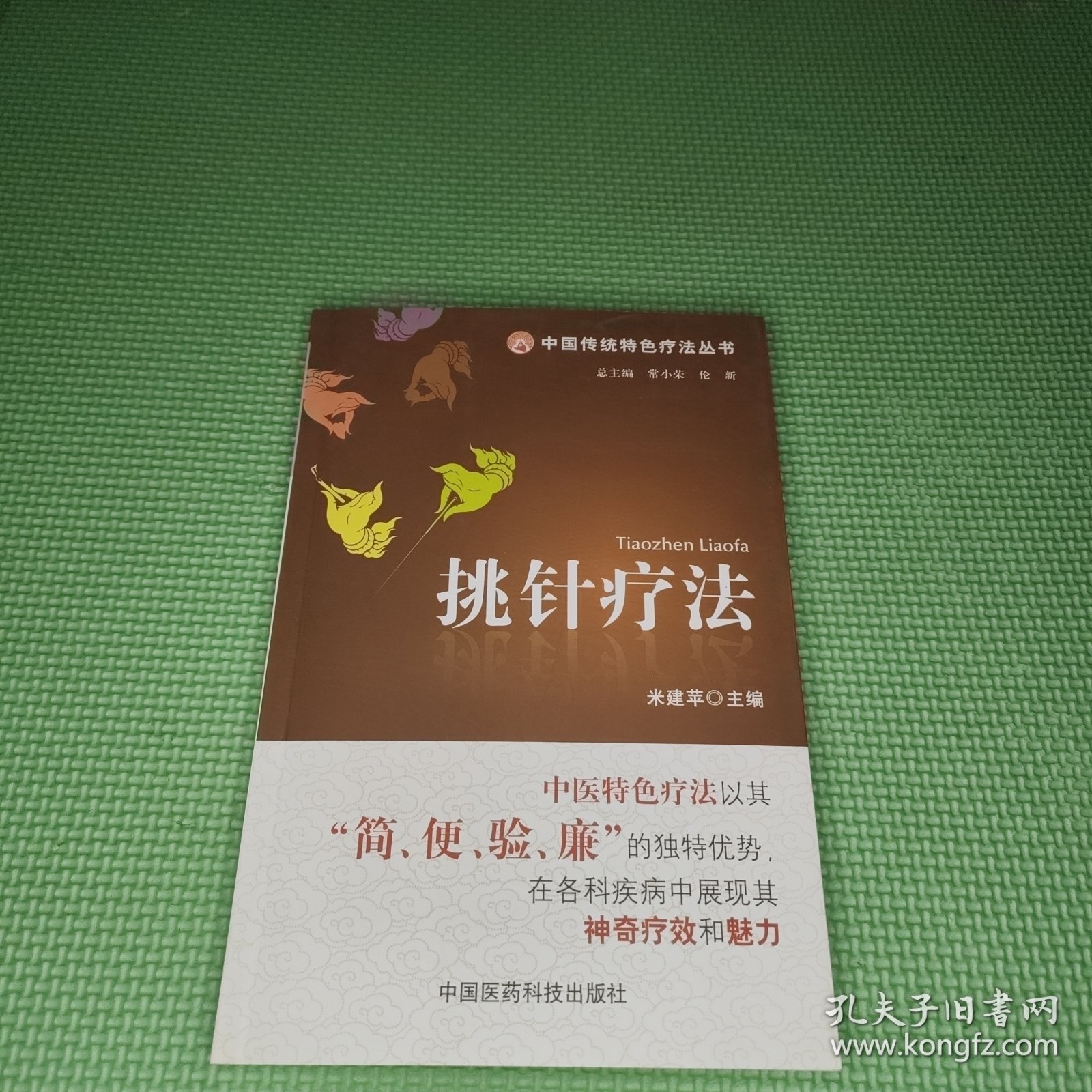 中国传统特色疗法丛书：挑针疗法