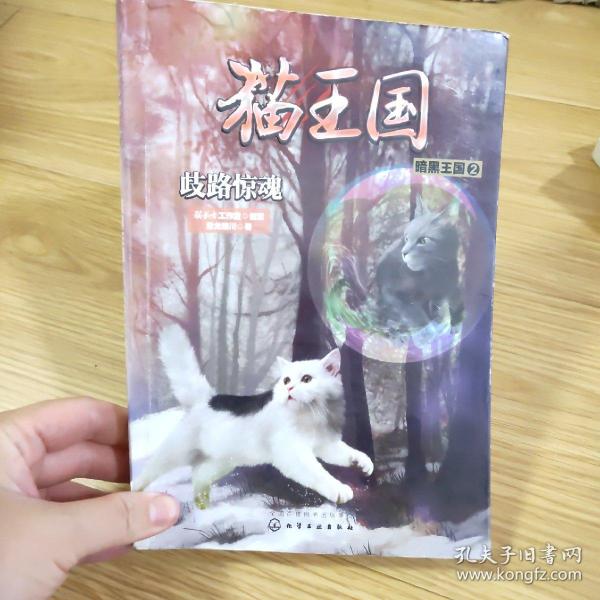 猫王国·暗黑王国.2，歧路惊魂