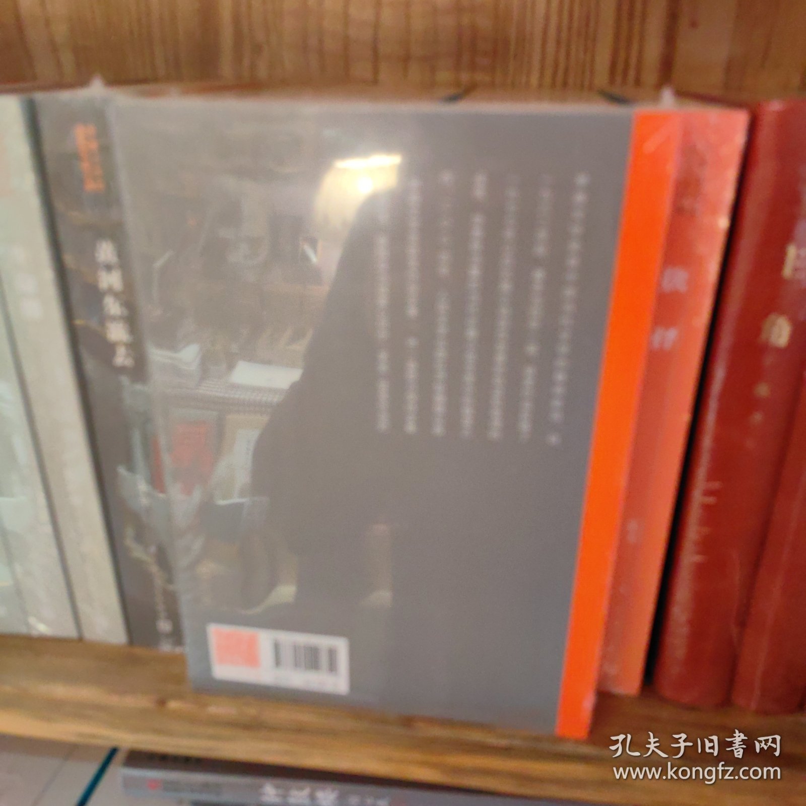 茅盾文学奖获奖作品全集：天行者