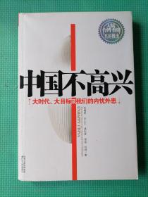 中国不高兴：大时代大目标及我们的内忧外患